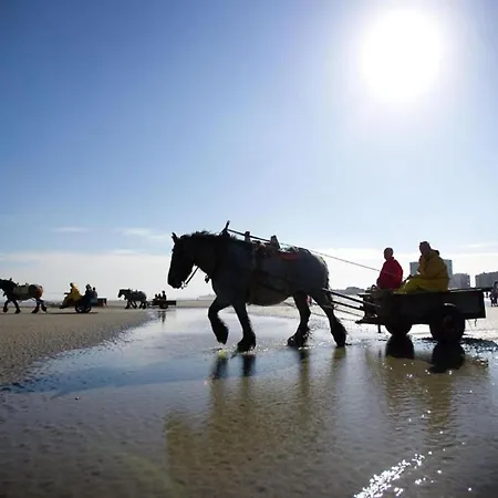 公寓 In With Ocean Views *