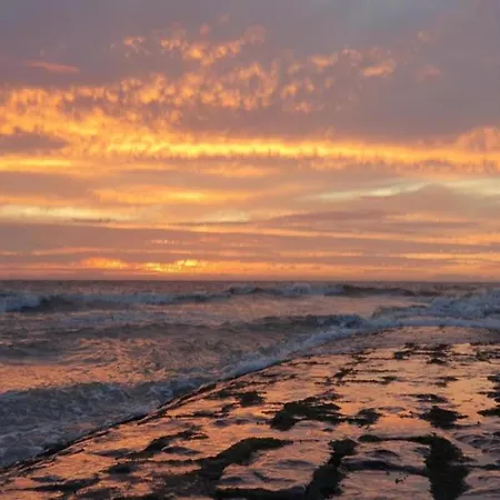 In With Ocean Views 公寓 尼乌波特