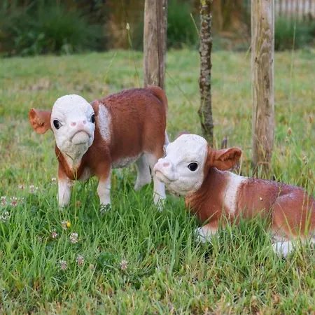 Apartment In Nieuwpoort With Ocean Views *