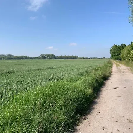 In With Ocean Views Apartment Nieuwpoort
