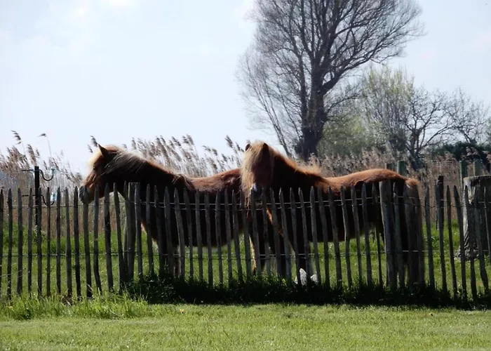 In With Ocean Views Апартаменты